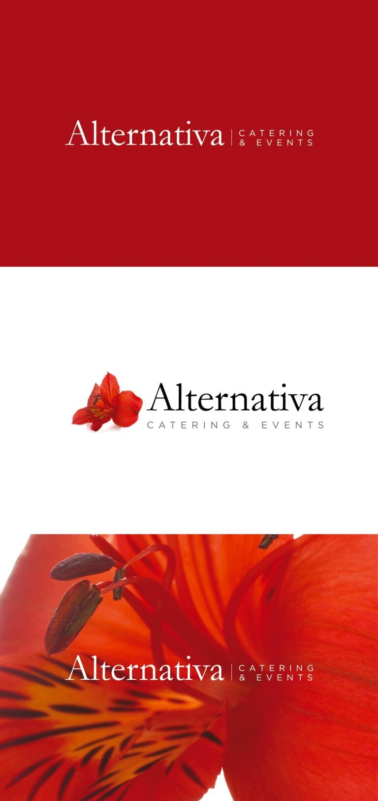 creazione logo e immagine coordinata per alternativa catering milano