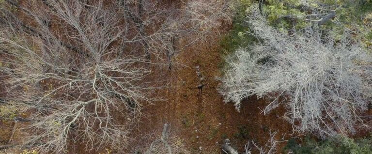 poster film locandina cinema il confine