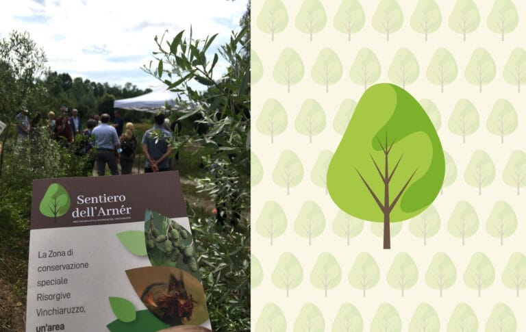 creazione depliant brochure sentiero dell'arner a cordenons per Hera