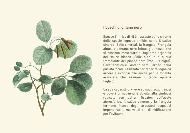 creazione segnaletica cartelli sentiero dell'arner a cordenons per Hera e immagine coordinata del brand