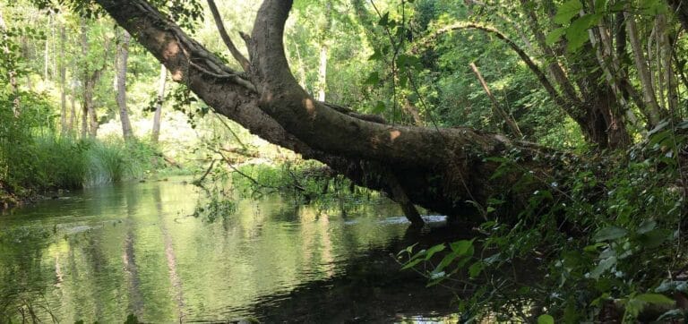creazione segnaletica cartelli sentiero dell'arner a cordenons per Hera e immagine coordinata del brand